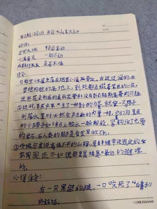 不新授 不打卡 不刷题 济南市天成路小学的老师们网络助学在干啥