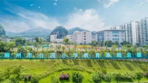 马鹿山片区最新控规出炉,区域价值再攀升