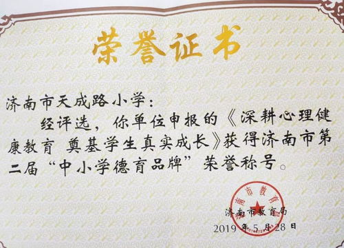 德育 努力干在实处,争取走在前列 天桥德育2019年工作回眸